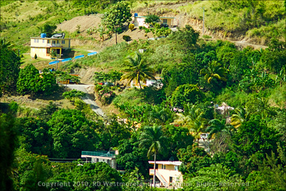 Typical Concrete Homes 'Casas' Carved into the Puerto Rican Hillside