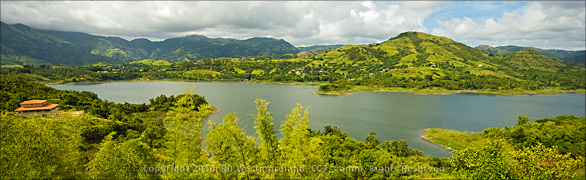 Panoramic View of Lake Near Villalba with Stand of Bamboo in the Foreground in Puerto Rico