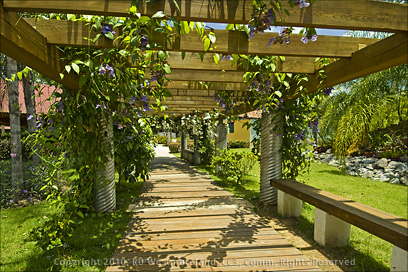 Trellis Walkway Off Main Entrance of the Botanical Gardens of Caguas, Puerto Rico
