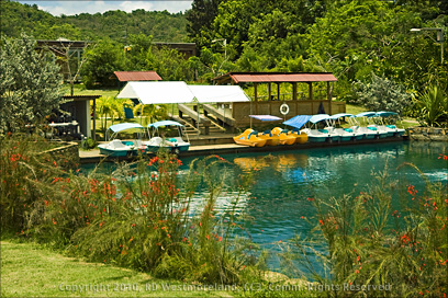 View of Paddle Boats on the Lake at the Botanical Gardens of Caguas, Puerto Rico
