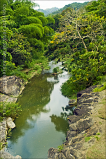 View Down Stream From the Suspension Bridge on the Grounds of the Botanical Gardens of Caguas, Puerto Rico