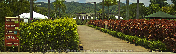 Panoramic Image of Grounds at the Botanical Gardens of Caguas, Puerto Rico