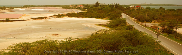 Panoramic View of Salt Flats and Bosque de Boqueron Perserve Near Cabo Rojo, Puerto Rico