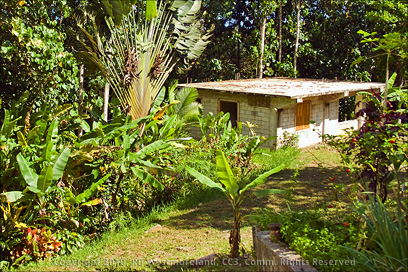 View of Experimental Concrete Structure on the Grounds of Tropic Ventures Near Patillas, Puerto Rico