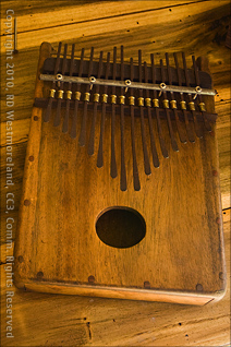 Kalimba Constructed from Woods Harvested on Tropic Ventures Reserve Near Patillas, Puerto Rico