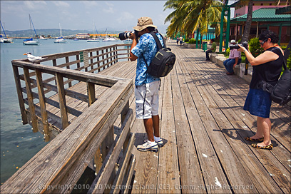 Photographers Shooting Birds at the La Guancha Pier in Ponce, Puerto Rico
