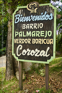 Welcome to Corozal Sign in Puerto Rico