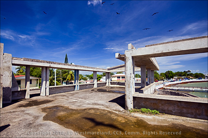 Ruins of Concrete Restaurant on the Shoreline of Santa Isabel from The Open Second Floor With Birds in Puerto Rico