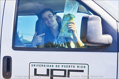 Puerto Rico University Student Pointing to a Commercial Package of Recao in Salinas