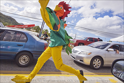 Guy Dressed as Chicken along the San Blas Marathon Route in Coamo, Puerto Rico