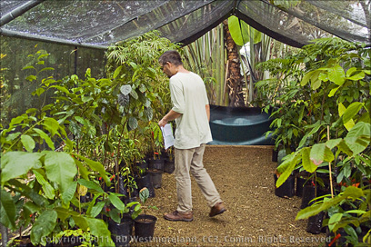Sadhu Govardhan working in Plant Nursery, Puerto Rico