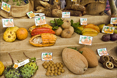 Display of Locally Grown Fruits and Vegetables at Orange Festival of Las Marias, Puerto Rico