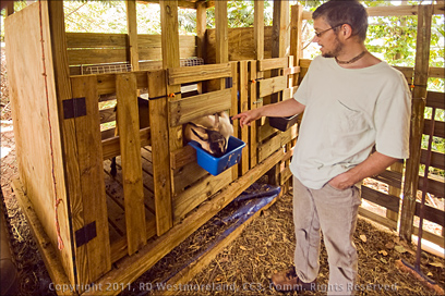 Sadhu Govardan Tending Goats on Farm, Puerto Rico