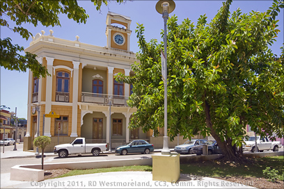 Old Mayor's Office and Rubber Tree on the Plaza of Guanica, Puerto Rico