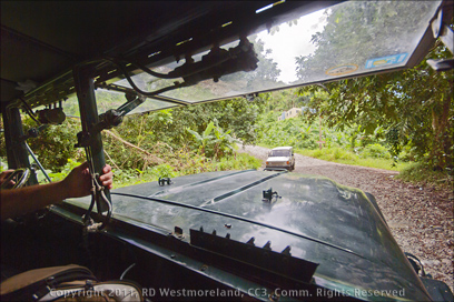 View from Cab of Duce-and-a-Half on the Way up to Cerro de Nandy near San Larenzo, Puerto Rico