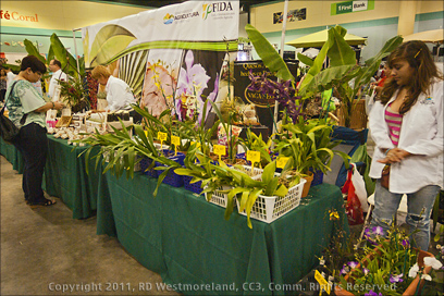 Plants For Sale at the Second Annual Coffee Expo Held at the San Juan Convention Center in PR
