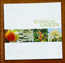 Brochure Cover for the Botanical Gardens of the U of PR in San Juan, Available from the Visitors Center