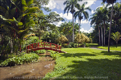 View of Aquatic Garden at the South Botanical Gardens of the University of Puerto Rico in San Juan