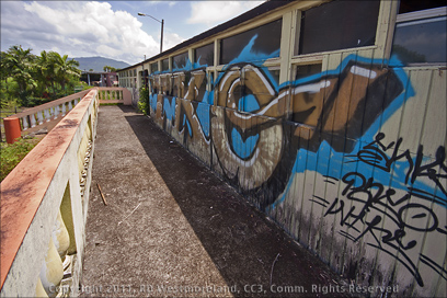 Graffiti on a Passenger Car of the Abandoned Tren del Sur Railroad in Arroyo, Puerto Rico