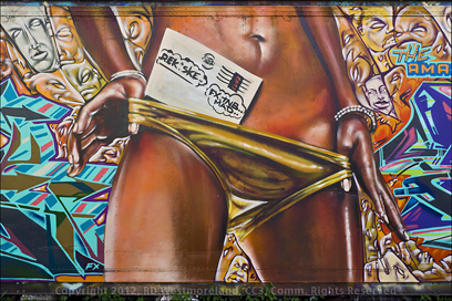 Van Panorama Detail of Street Art in Santurce