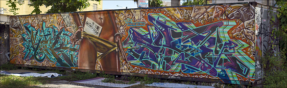 Van Panorama of Street Art in Santurce