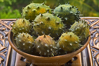Home Grown, Kiwano, African Horned Melon