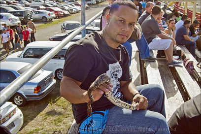 Salinas Speedway Guy With Snake in Puerto Rico