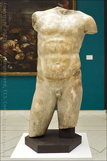 Ponce Art Museum- Classic Male Torso Sculpture
