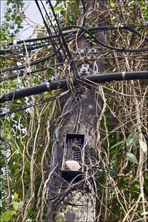 Telephone Poll Wiring Detail in Coamo