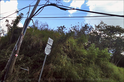 Repaired Busted Poll Near Highway 150 Outside Coamo, PR