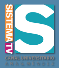 Sistema TV Channel 40 in PR Logo