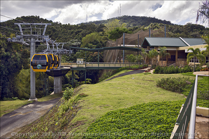 Guaynabo Forest Park Aviary and Butterfly House Tram View in PR
