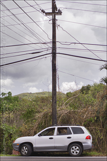 Telephone Pole Cleared of Vines with Stray Wire Hanging Down, on Highway Outside Coamo, Puerto Rico