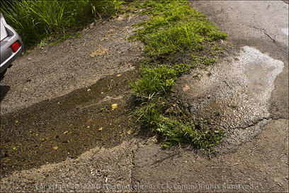 Water Mains Leak in the Road in Coamo, Puerto Rico