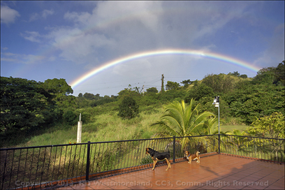 Early morning double rainbow over Coamo