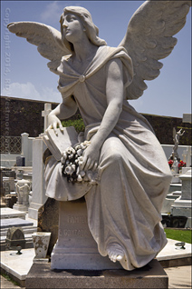Angel Statue at Cementerio Santa Maria Magdalena de Pazzis in Old San Juan, PR