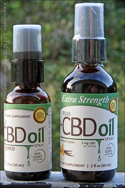 CBD Oil Bottles Regular and Extra Strength