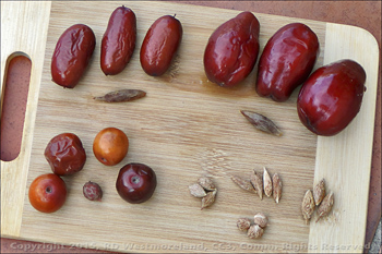 Jujube Fruit and Seed Collection