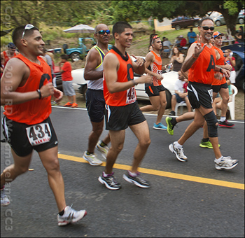 HANCE BERRIOS, ALEX J. of COAMO, PR