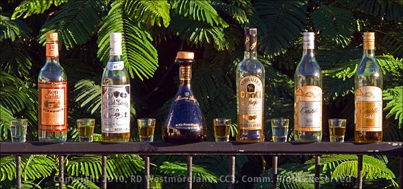 Second Set of Bottles of Rum from Puerto Rico for Taste Testing- ARRG!