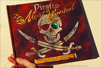 Pirates Most Wanted Book Cover- ARRG!