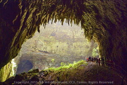 Photo of the Rear Opening of the Clara Cave Showing the Sinkhole and Another Cave at the Camuy Cave Park in Puerto Rico