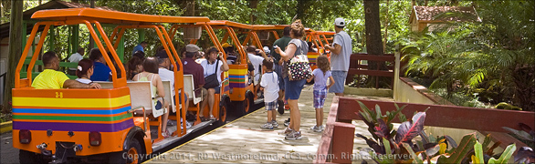 Boarding the Trolley for the Ride Down into the Caverns at the Camuy Cave Park in Puerto Rico