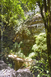 Back out in the Sunlight, the Clara Cave Exterior and Emplame Sinkhole at the Camuy Cave Park in Puerto Rico