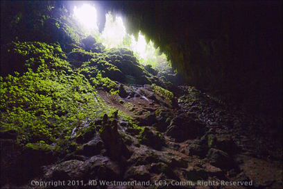 A View Out to the Sunlight from the Clara Cave in the Camuy Cave Park, Puerto Rico' entrance