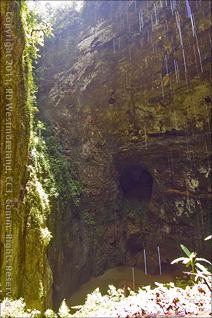 A View of the Exit and the Sinkhole with Standing Water at the Bottom at the Camuy Cave Park in Puerto Rico