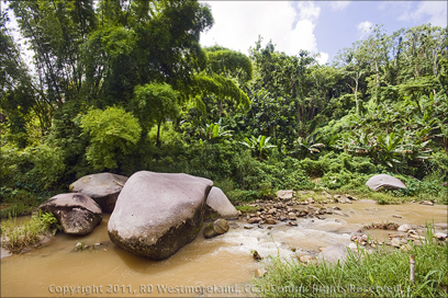 Yabucoa River Valley with Big Rock in Puerto Rico