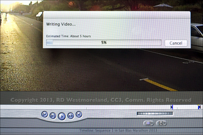 Screen Shot of 5 Hour Video Render on iMac